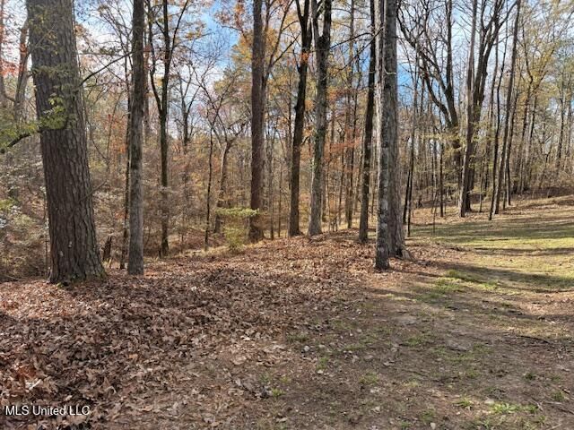 717 Thomas Lane, Madison, MS 39110