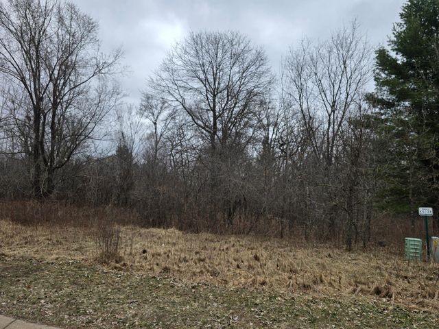 L4,B1 288th Avenue NW, Zimmerman, MN 55398