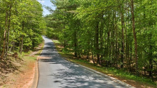0 Golden Delicious Road, Clarkesville, GA 30523