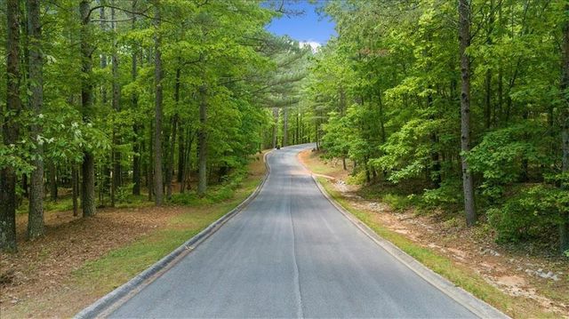 0 Golden Delicious Road, Clarkesville, GA 30523