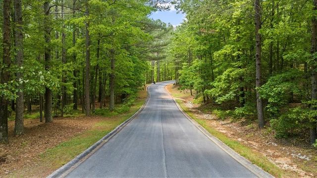 0 Golden Delicious Road, Clarkesville, GA 30523