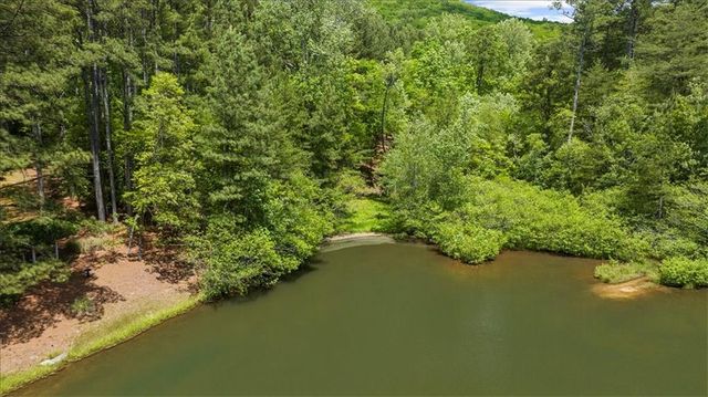 0 Golden Delicious Road, Clarkesville, GA 30523