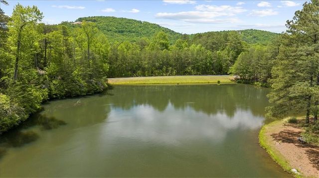 0 Golden Delicious Road, Clarkesville, GA 30523