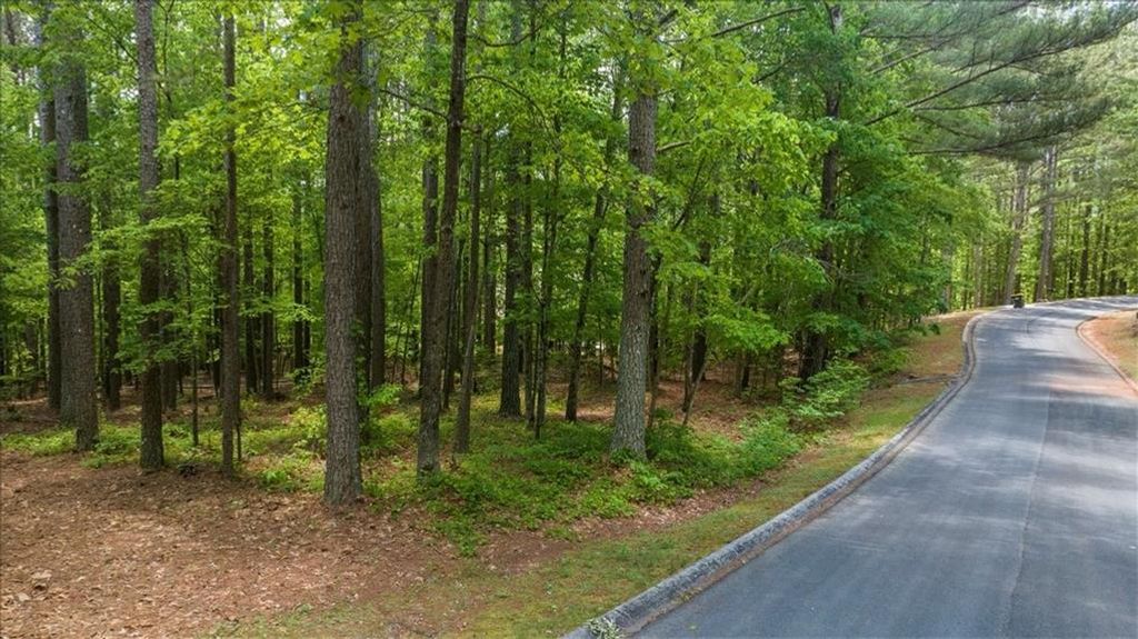 0 Golden Delicious Road, Clarkesville, GA 30523