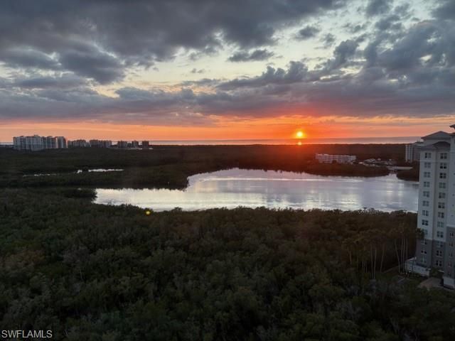 425 Cove Tower DR # 1601, Naples, FL 34110