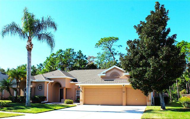 3817 BIRCH MOUNTAIN ROAD, Port Orange, FL 32129