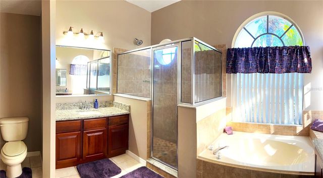 3817 BIRCH MOUNTAIN ROAD, Port Orange, FL 32129