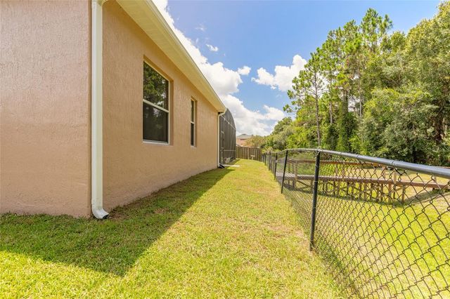 3817 BIRCH MOUNTAIN ROAD, Port Orange, FL 32129