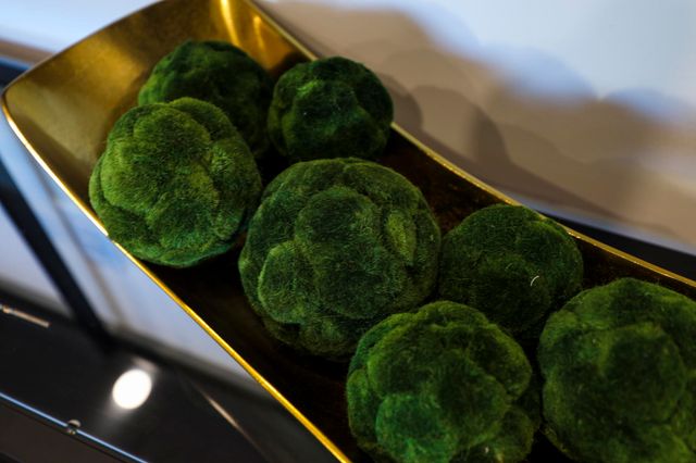 65 Lindsley Ave Apt 203, Nashville, TN 37210