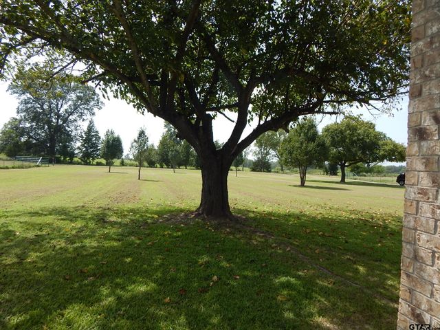 1931 CR 3442, Winnsboro, TX 75494