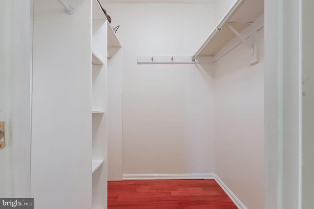 12705 RUXTON RD, Silver Spring, MD 20904