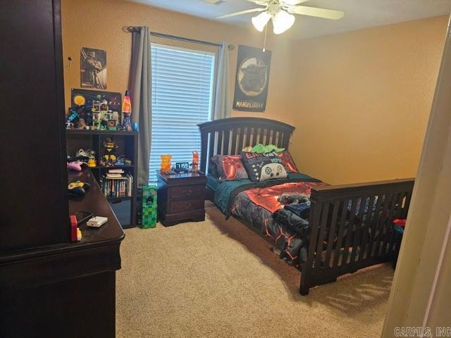 2525 Zoysia Lane, Conway, AR 72034