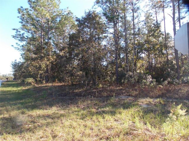 9432 N CHERRY LAKE DRIVE, Citrus Springs, FL 34433