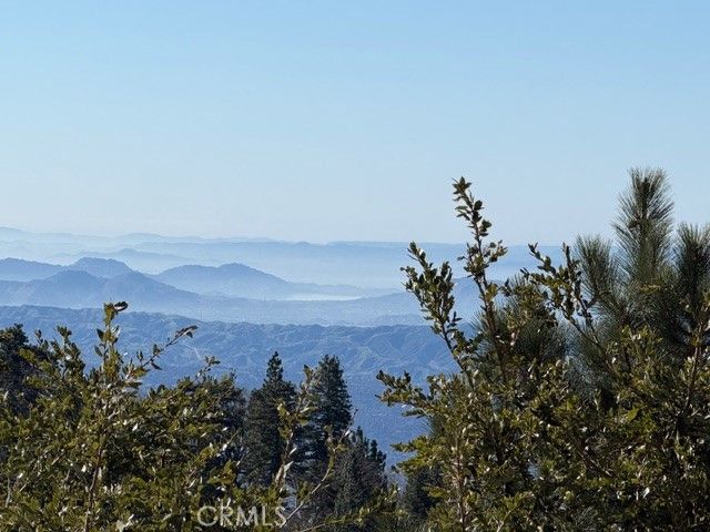 30509 Live Oak, Running Springs, CA 92382