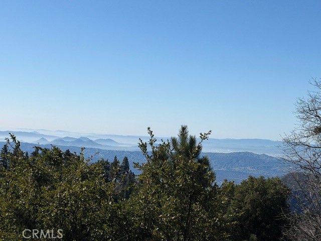 30509 Live Oak, Running Springs, CA 92382