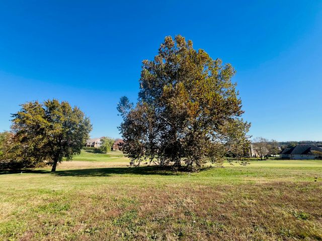 3182 W Bluffview Street, Springfield, MO 65810