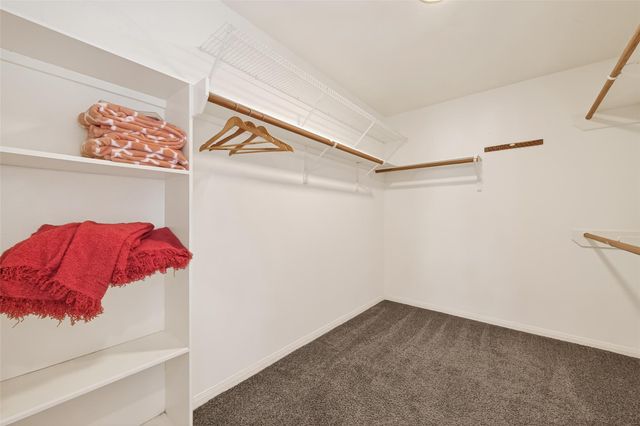 17127 Coral Cove Court, Houston, TX 77095