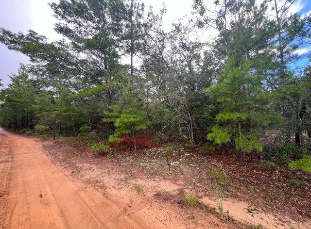 Lot 2 Round Table Road, Defuniak Springs, FL 32433