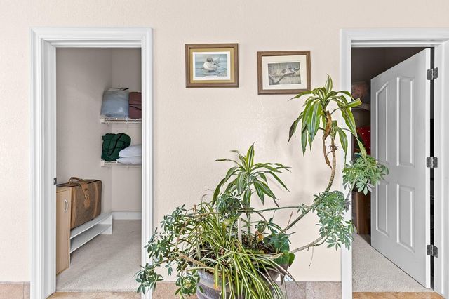 20219 Ponderosa Trl, Volcano, CA 95689