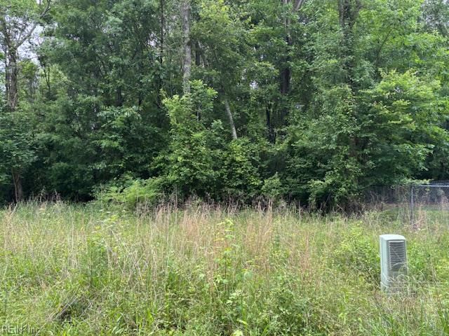 Lot 3 Branch Bridge ST, Branchville, VA 23828