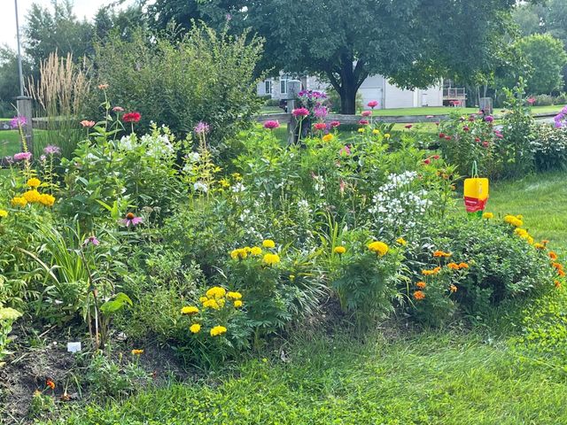 17229 Van Buren Street NE, Ham Lake, MN 55304