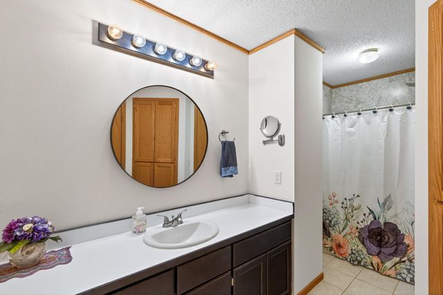 17229 Van Buren Street NE, Ham Lake, MN 55304