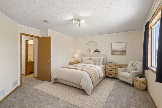 17229 Van Buren Street NE, Ham Lake, MN 55304