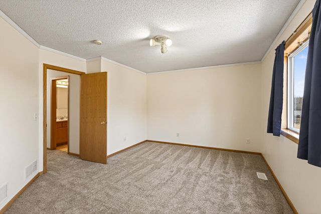 17229 Van Buren Street NE, Ham Lake, MN 55304