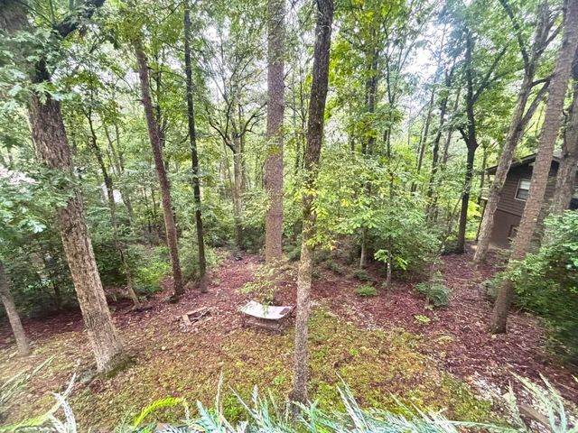 61 Tomino Way, Hot Springs Village, AR 71909