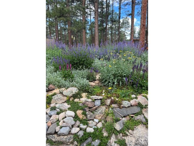 5313 Maggie Ln, Evergreen, CO 80439