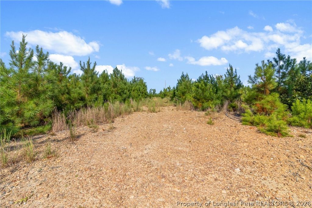 5322 River Road, Fuquay Varina, NC 27540 — photo 4