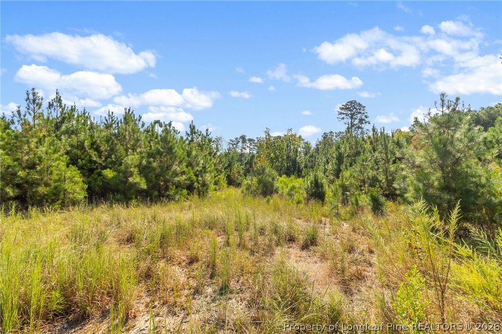 5322 River Road, Fuquay Varina, NC 27540 — photo 5