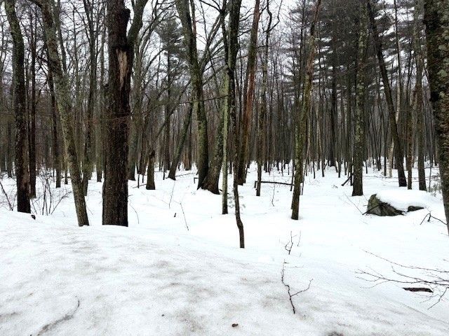 123 Peterson Rd, Palmer, MA 01069