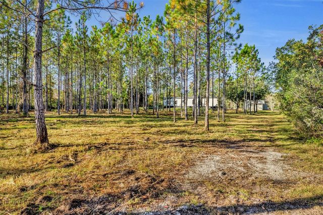 6180 WINNING WOOD TRAIL, De Leon Springs, FL 32130