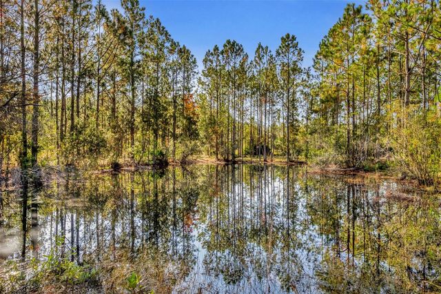 6180 WINNING WOOD TRAIL, De Leon Springs, FL 32130