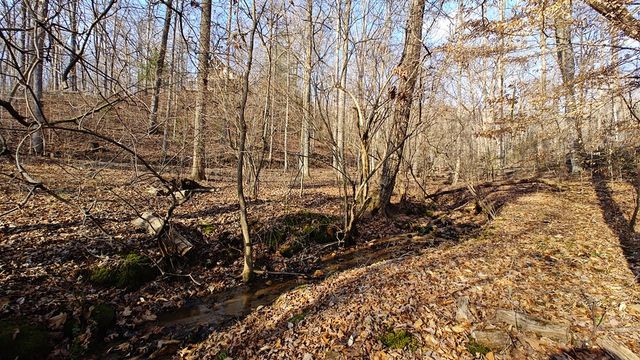 236 Grace Drive, Blue Ridge, GA 30513