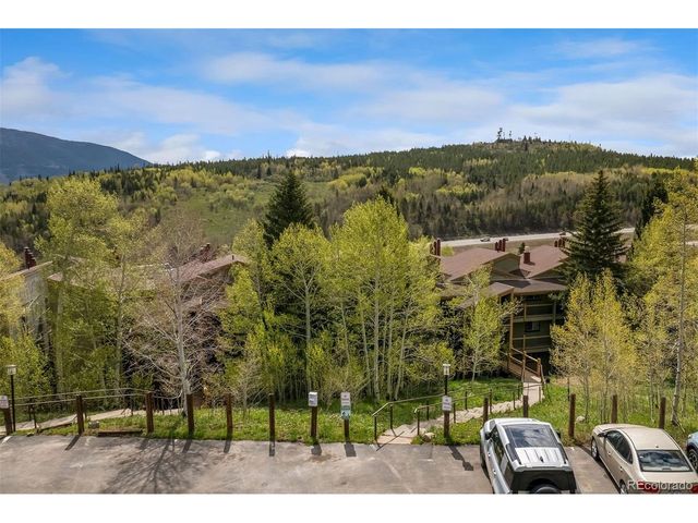 2435 Ryan Gulch Ct 2435, Silverthorne, CO 80498