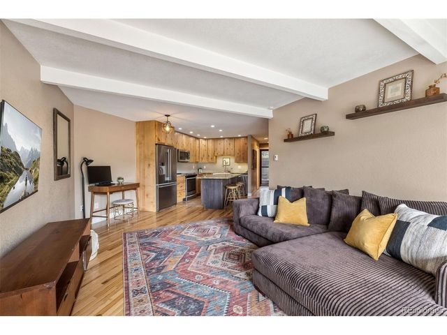 2435 Ryan Gulch Ct 2435, Silverthorne, CO 80498