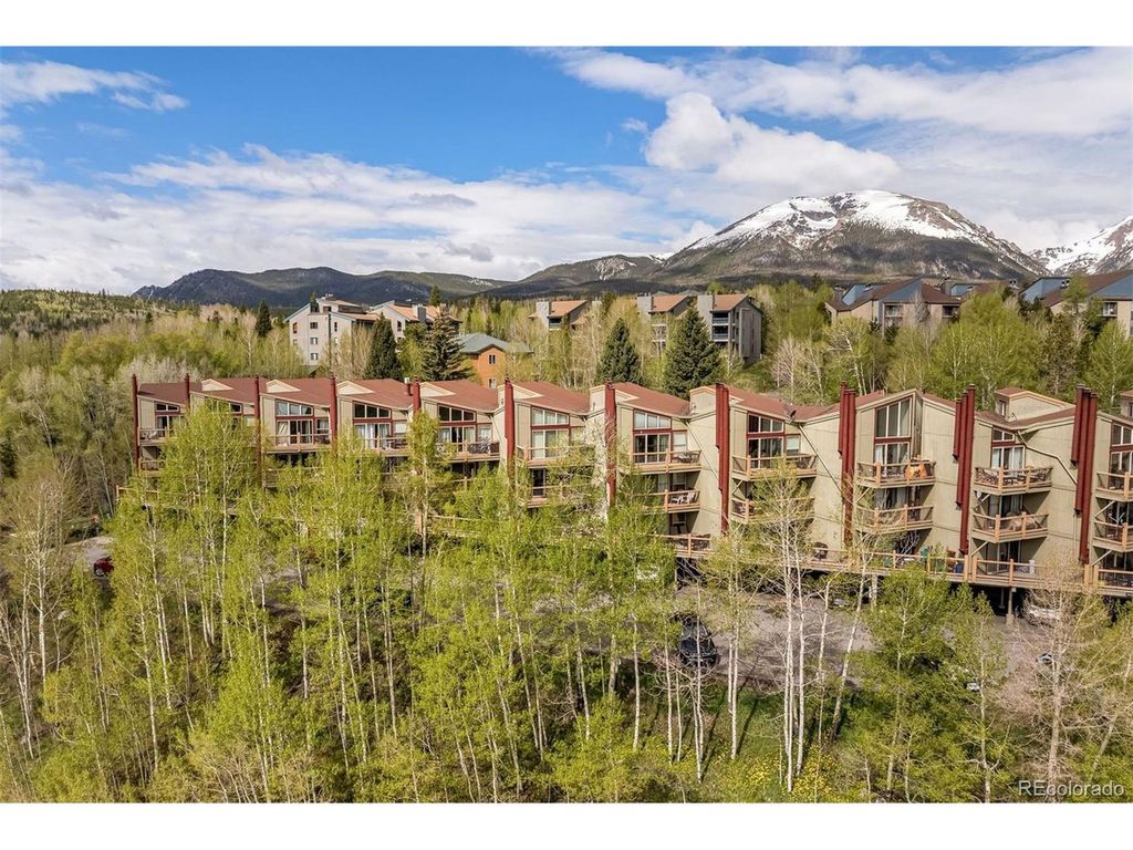 2435 Ryan Gulch Ct 2435, Silverthorne, CO 80498