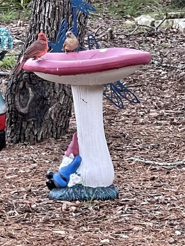 13326 Trautwein RD, Austin, TX 78737