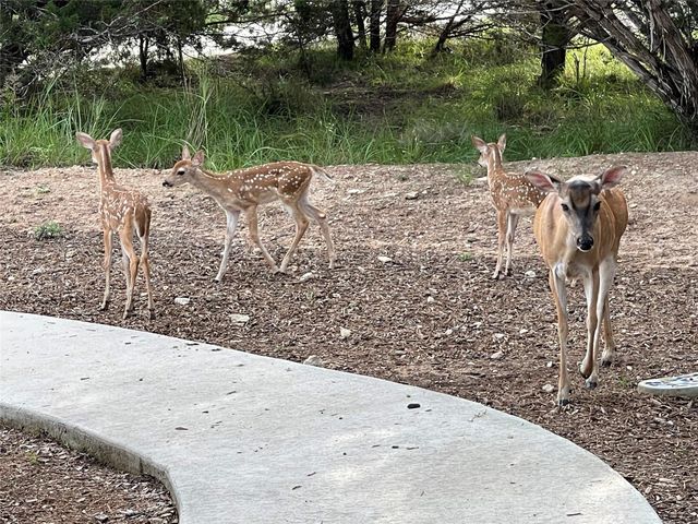 13326 Trautwein RD, Austin, TX 78737