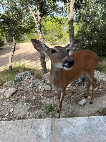 13326 Trautwein RD, Austin, TX 78737