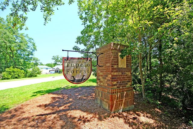 3797 Tupelo Church Lane, Mount Pleasant, SC 29429