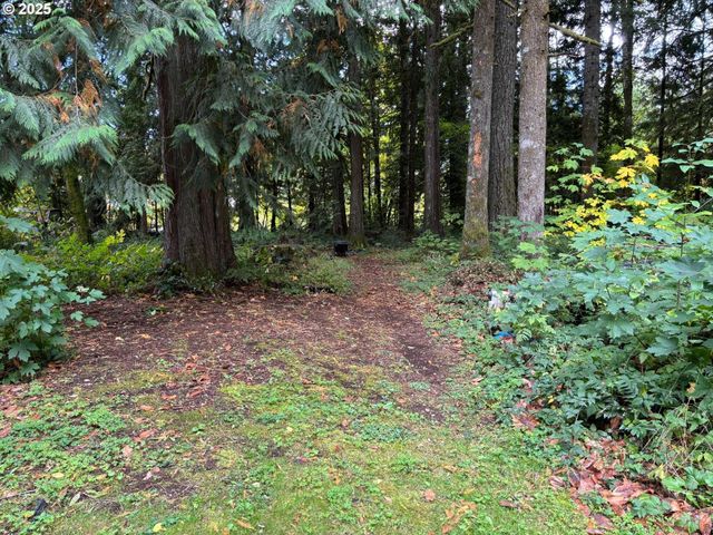 69300 E VINE MAPLE Dr, Welches, OR 97067