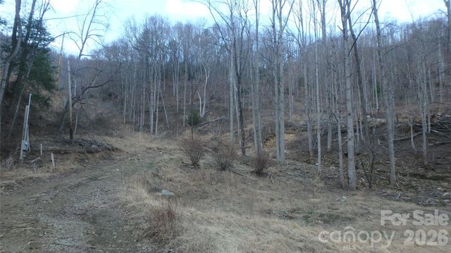 4696 NC Hwy 226A Highway, Marion, NC 28752