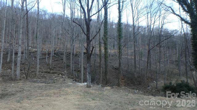 4696 NC Hwy 226A Highway, Marion, NC 28752