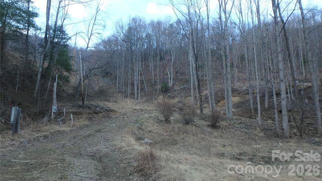 4696 NC Hwy 226A Highway, Marion, NC 28752