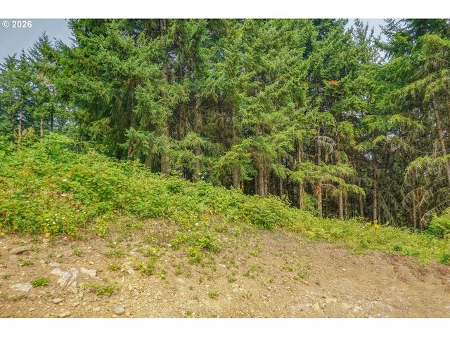 324 CHAMPION Rd, Kalama, WA 98625