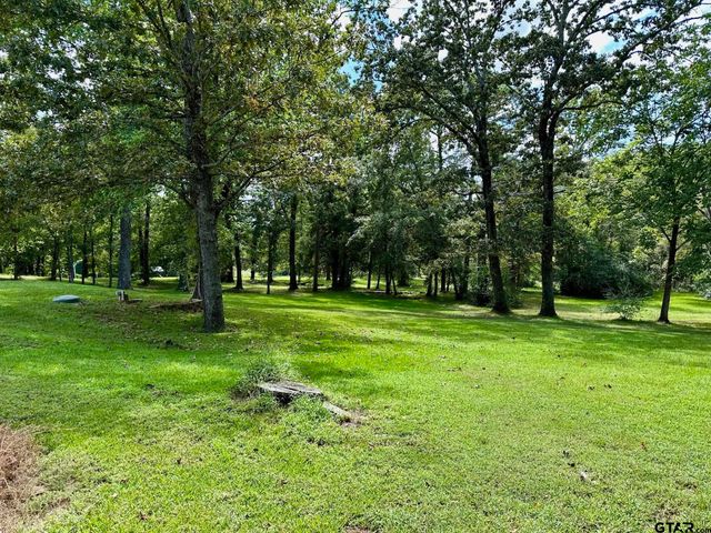10782 CR 2250, Tyler, TX 75707