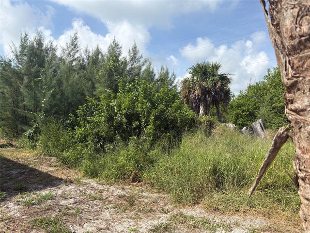 8990 SEAGRAPE LANE, Placida, FL 33946
